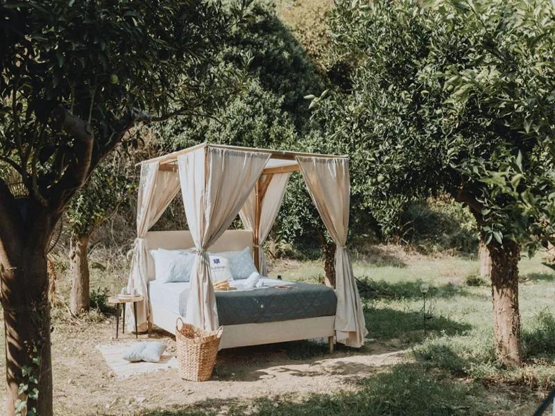 Star Sleep Vryses -orange Grove * Vrisai